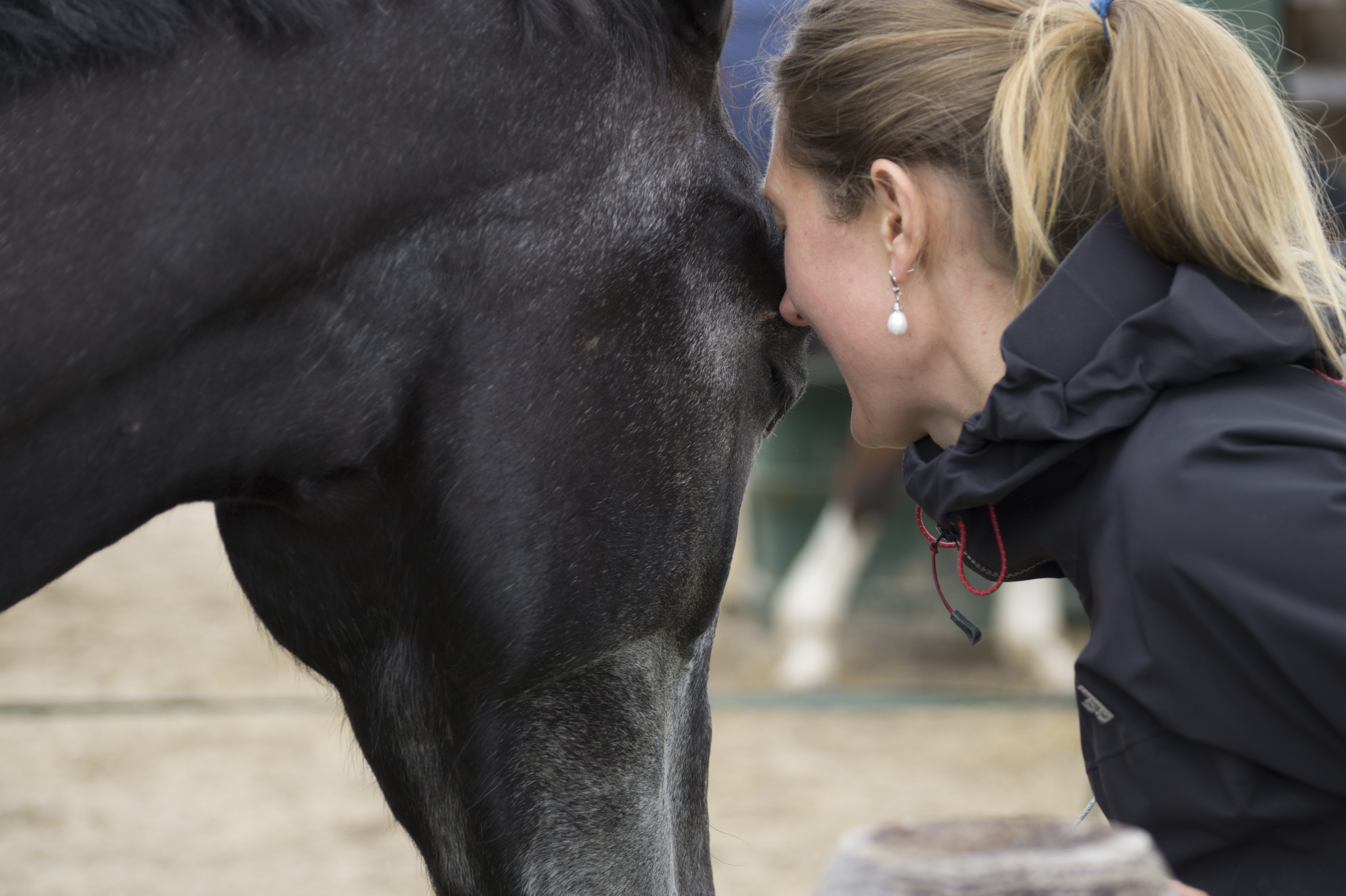 Equine Awareness Centre Merel Burggraaf equine healing paarden paard healing