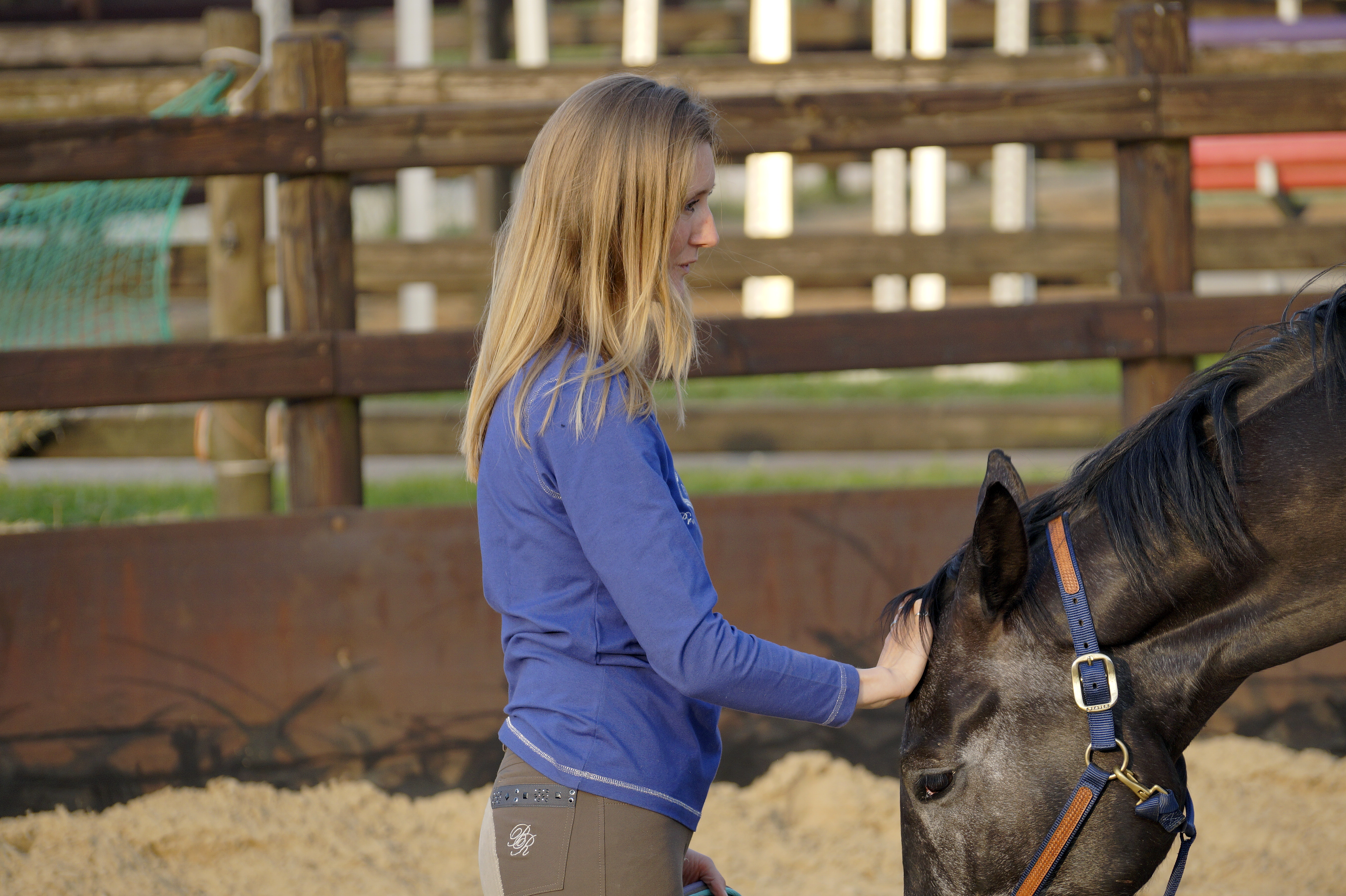 Equine Awareness Centre Merel Burggraaf paard paarden horse equine horses healing art