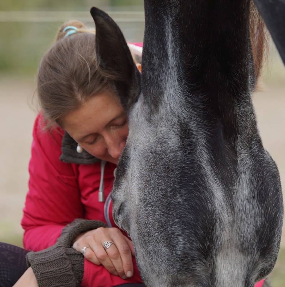 Equine Awareness Centre Merel Burggraaf paardengedragsdeskundige paarden paardengedrag healer medium voor paarden Profielfoto